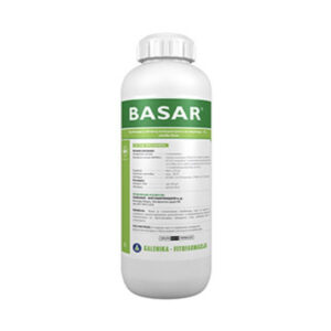 Basar 1l