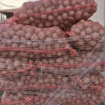 Domaći semenski krompir DESIRE 10kg