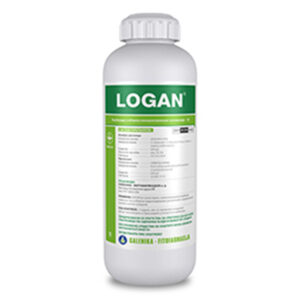 Logan 500ml