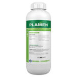Plamen 1l