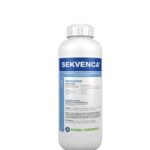 Sekvenca 1l