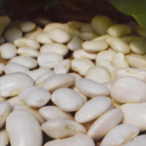 Seme pasulja TETOVAC 75g